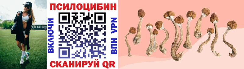 Псилоцибиновые грибы Magic Shrooms  магазин продажи наркотиков  Облучье 
